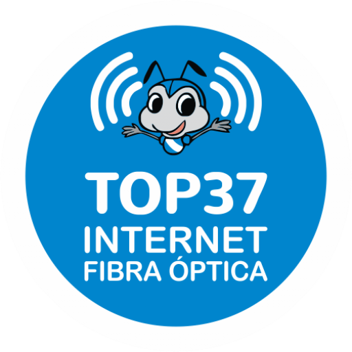 Logo Top 37